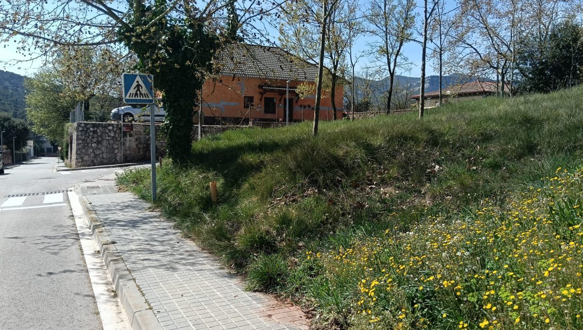 33668620