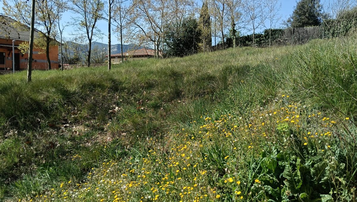 33668624