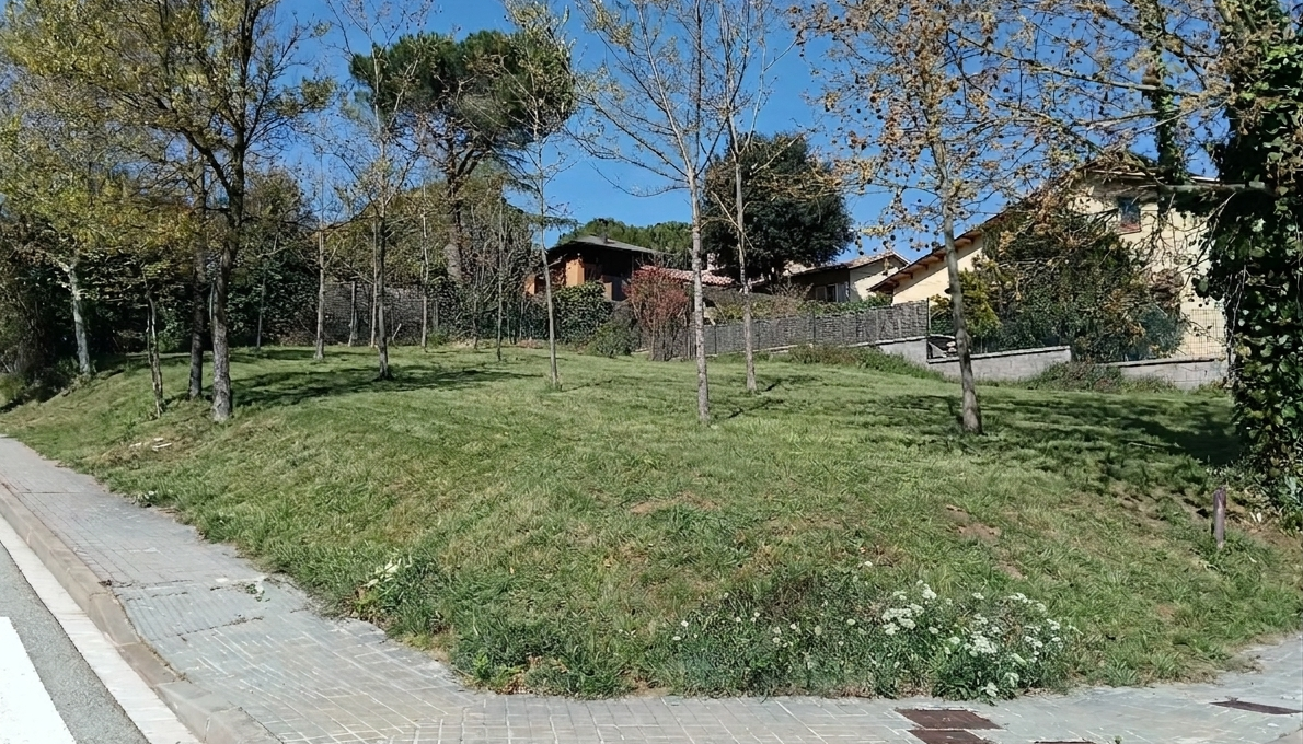 33668630